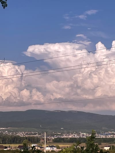 The image displays a wide-angle landscape of the city of Pobeda, Russia, positioned at the foothills of a verdant mountain range. The upper portion of the frame features a clear blue sky with prominent, white, vertically developed cumulus clouds, some displaying an anvil-like formation on the left, indicative of cumulonimbus development. Five dark, parallel power lines span horizontally across the middle-upper section, partially intersecting the cloud formations. Below these lines, a dark green, undulating mountain range stretches across the mid-ground. The lower half of the image reveals the sprawling urban environment of Pobeda, characterized by numerous residential buildings with light-colored roofs, interspersed with green fields and trees. The immediate foreground includes a light green field, several isolated residential structures, and dark green foliage from tree branches visible on the lower left and right edges. A white utility pole stands upright in the mid-foreground, slightly right of center. No individuals, specific actions, or interactions are discernible within the scene. The lighting indicates daytime conditions.
