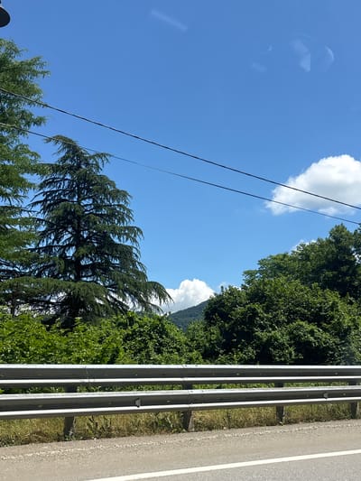The image depicts a roadside scene under a clear blue sky with scattered white clouds. In the foreground, a metal guardrail runs horizontally across the frame, separating the road from a grassy embankment. Beyond the guardrail, lush green trees and foliage dominate the landscape, with a large conifer tree being particularly prominent on the left side. In the distance, rolling hills are visible, partially obscured by trees. The image appears to have been taken from a moving vehicle, as evidenced by the slight blur and reflections in the sky. The specific location in Kazachiy Brod, Russia, is not visually indicated within the image itself.