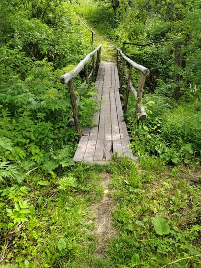 The image shows a wooden footbridge in a lush, green forest. The bridge is made of weathered planks and has simple wooden railings on either side. The surrounding area is densely vegetated with various types of plants and trees. A dirt path leads to and from the bridge. There are no people visible in the image. The scene appears to be a natural, undeveloped area. The location is identified as Osinniki, Russia, suggesting this is a natural landscape within or near the city.