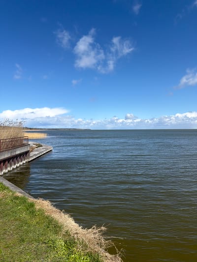 The image shows a body of water, likely a lake or wide river, under a blue sky with scattered clouds. A concrete embankment with stairs leads down to the water. Reeds grow along the water's edge. The ground on the right side of the image is covered with grass and some dry vegetation. The photograph is taken outdoors during daylight. While the prompt suggests the location is Lesnoy, Russia, there is no definitive evidence in the image to confirm this.