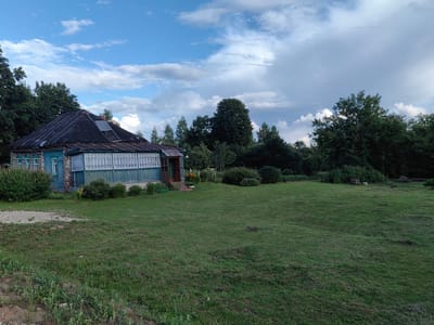 The image depicts a rural scene in Arkhangel'skoe (Sp Veselevskoe), Russia, under a cloudy sky with patches of blue. A weathered, single-story house with a dark, sloping roof and blue siding stands on the left side of the frame. The house has a porch with white railings and several windows with white shutters. It is surrounded by green grass, bushes, and trees. The yard is mostly open lawn, with a gravel path leading to the left of the house. In the background, a dense line of trees creates a dark backdrop against the sky. The overall atmosphere is one of a quiet, possibly abandoned, rural dwelling. There are no people or animals visible in the image.