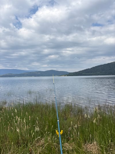 The image depicts a serene lakeside scene on a cloudy day. In the foreground, a fishing rod with a blue handle and a yellow reel is planted in lush green grass and reeds, suggesting an activity of fishing. The water of the lake stretches out, reflecting the overcast sky. In the background, rolling hills covered with dense green forest and vegetation form a picturesque backdrop. The overall atmosphere is calm and natural, characteristic of a rural or natural landscape. This setting is consistent with the natural beauty surrounding the city of Batak, Bulgaria, known for its lakes and mountainous terrain.