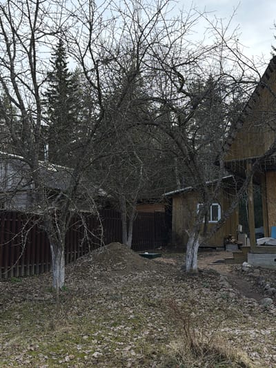 The image shows a scene in what is likely Starosel'e, Russia, based on the location information given. The foreground is dominated by bare, deciduous trees with intricate branching patterns. A wooden fence runs partially across the lower half of the image, obscured by the branches of the trees and dry leaves scattered on the ground. A small section of another structure, possibly a shed or outbuilding, is visible behind the fence and trees on the left.
Behind the trees, in the middle ground, is a larger wooden house with at least one visible window. The house is elevated above the ground and appears to be under construction or renovation, judging by the visible materials and tools stacked nearby. The ground is covered in a mix of dry leaves and sparse vegetation.
The sky is overcast, providing muted, ambient light. There are no people or animals visible in the image. The overall impression is one of a rural or semi-rural setting, perhaps in early spring before the trees have begun to leaf out.