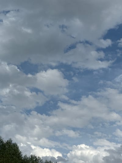 The image shows a cloudy sky with trees at the bottom. There are a few birds flying in the sky. The location is Павлодарское, Kazakhstan.