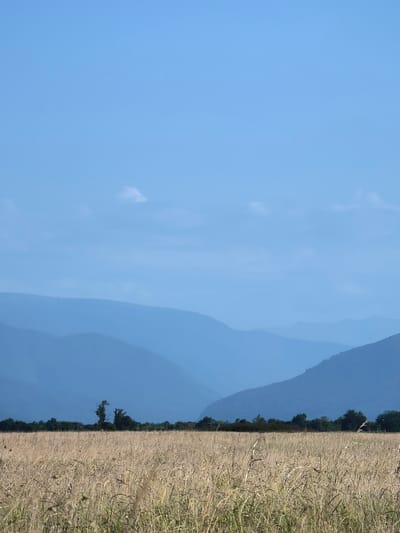 The image depicts a landscape with a vast, dry grass field in the foreground. Behind the field, a line of trees forms a dark band. Further in the background, a series of progressively faded blue mountain ranges extend into the horizon under a pale blue sky with a few wispy clouds. The overall impression is one of natural beauty and tranquility. The image appears to be taken in a rural or natural setting.