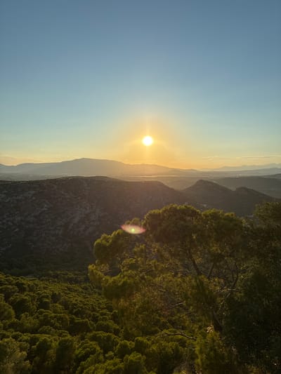 This is an outdoor, vertical, eye-level shot of a landscape at sunset. The sun is a bright orb in the upper center of the frame, casting a golden glow over the scene. The sky transitions from a pale blue at the top to a soft yellow near the horizon. In the foreground, pine trees with dark green foliage are visible, with branches extending into the frame. Below the trees, a mountainous terrain is covered in dense, dark green vegetation. In the distance, rolling hills and mountains recede into the haze. A city or town is faintly visible in the far distance, nestled between the mountains. The overall impression is one of natural beauty and tranquility. The location is identified as Limenas Markopoulou, Greece.