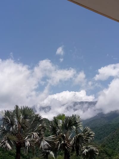 The image captures a tropical landscape on a clear day with scattered white clouds. In the foreground, two palm trees with fan-shaped leaves dominate the lower portion of the frame, their fronds splayed out against the sky. Behind the palm trees, a verdant mountainside recedes into the distance, partially obscured by fluffy white clouds that drift across the slopes. The sky above is a bright, clear blue. A hint of a structure, possibly a roof overhang, is visible in the upper right corner of the image. The scene appears to be a view from a vantage point looking out over the natural scenery.