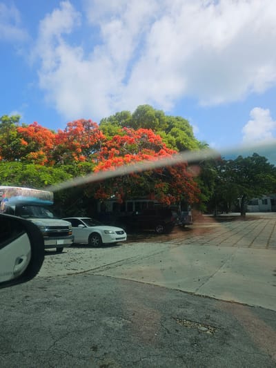 The image shows a street view in Key Largo, United States. The sky is blue with white clouds. Green trees and trees with vibrant orange flowers line the left side of the street. Several parked cars are visible, including a white sedan, a gray pickup truck, and a dark SUV. The road is asphalt. A sidewalk is visible in the background. The image appears to be taken from inside a vehicle.