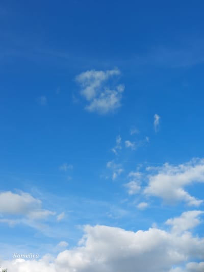 The image captures a wide expanse of bright blue sky with scattered white clouds. A watermark reading "Kameliya" is visible in the lower left corner. There are no people, animals, buildings, or any other identifiable objects or actions present in the scene. The environment is solely composed of the sky and clouds. There is no information available to place this image in Alençon, France.
