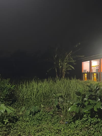 This image captures a nighttime scene in Meteseh, Indonesia, featuring a building with illuminated windows and outdoor lighting. Tall green grass and various plants dominate the foreground and midground. In the background, banana trees stand tall, and the dark night sky forms the upper portion of the image. The building, situated on the right side, has a modern design with large open windows revealing an interior bathed in warm light. Two orange, cone-shaped lights are positioned at the base of the building's exterior, casting a soft glow. The overall atmosphere is tranquil, with the artificial lights contrasting against the natural darkness of the rural setting.