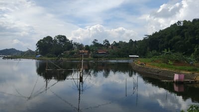 This wide-angle photograph captures a serene waterscape, likely a lake or large pond, in Kecamatan Panjalu, Indonesia. The scene is dominated by calm, dark water that beautifully reflects the sky and elements on the distant shore.

In the foreground and midground, several traditional bamboo fishing structures, possibly "bagan" or "keramba," are erected in the water. These structures, characterized by their network of poles and nets, cast distinct reflections on the still surface.

Along the far bank, a rural village is nestled among a dense canopy of green trees. Several houses with reddish-brown roofs are visible, blending into the lush foliage. Beyond the village, rolling hills covered in verdant forest rise into the distance, completing the natural backdrop.

The sky is partly cloudy, featuring large, white cumulus clouds that are also reflected in the water, contributing to the tranquil atmosphere. On the right side of the image, a stone-lined embankment runs along the water's edge, with a narrow dirt path on top. A few indistinct human figures can be seen on this embankment. Near the embankment, a small, square, pink concrete structure is partially submerged in the water, adding a touch of color.

The time of day appears to be daytime, likely late morning or early afternoon, under bright, diffused light. The overall mood is peaceful and scenic, depicting a harmonious blend of nature and human settlement. There is no discernible text visible in the image.