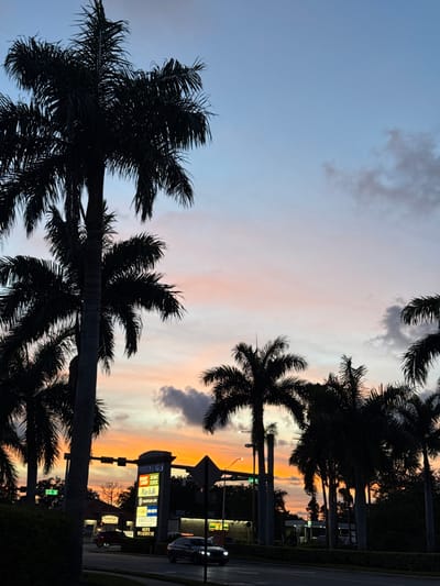 The image captures a twilight scene in Naples, Florida, USA, with silhouetted palm trees dominating the foreground against a vibrant sunset sky. The sky exhibits a gradient of colors, transitioning from warm oranges and pinks near the horizon to cooler blues and purples higher up, interspersed with scattered clouds. In the mid-ground, a lit signpost identifies various businesses including "Hobby Lobby," "Home Sense," "Marshalls," and "Haverty's." A roadway with passing cars is visible at the bottom of the frame, and streetlights illuminate the scene. The overall impression is that of a tropical evening in an urban or suburban setting.