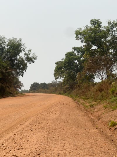 A wide, unpaved reddish-brown dirt road, located in Hohoe, Ghana, occupies the lower two-thirds of the frame. The road surface is composed of compacted earth and gravel, exhibiting subtle ruts consistent with vehicle passage, and gently curves rightward as it recedes into the background. Dense, predominantly green foliage forms elevated embankments along both sides of the road. The left embankment features broadleaf trees and palm fronds. The right embankment displays a mix of green-canopied trees and drier shrubs. The upper third of the image is dominated by an overcast, light grey sky. No persons, vehicles, or other identifiable objects are present. No specific actions or interactions are depicted.