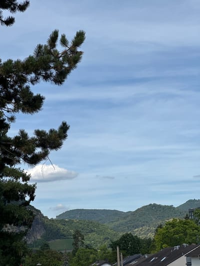 This media file is a landscape photo taken in Bonn, Germany. The image features a view of rolling, tree-covered hills against a sky with light, wispy clouds. In the foreground, pine trees with long needles and pinecones are visible, reaching towards the sky. On the right side of the frame, the dark, angled roof of a building with visible windows and architectural details is present, suggesting a residential or urban setting bordering the natural landscape. The scene appears to be an outdoor view, possibly from a balcony or elevated position, looking out over a valley or mountainous region. The lighting suggests it is either early morning or late afternoon, with a generally bright and possibly overcast or hazy sky. No people or specific activities are depicted. The overall mood is serene and natural, with a blend of urban architecture and lush greenery.