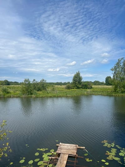 This media file depicts a serene waterscape in Shachebol, Russia. The scene is dominated by a calm body of water that occupies the right half of the frame. The water's surface is gently rippled, reflecting the blue sky above. Lily pads, a characteristic feature of calm waters, are scattered across the surface, adding a touch of natural beauty.
On the right side of the water, a rustic wooden pier juts out, suggesting a place for recreation or access to the water. A fishing rod, identifiable by its thin line and reel, is set up on the pier, indicating that fishing might be in progress or has recently taken place. The pier itself appears weathered, hinting at its age and frequent use.
The left side of the image showcases a lush green landscape, typical of a riverside or lakeside environment. Dense vegetation, including trees and tall grasses, lines the bank. The foliage is vibrant and healthy, suggesting a warm season, likely summer. In the distance, a line of trees forms a natural horizon.
The sky above is a brilliant blue, adorned with wispy white clouds that create an intricate, patterned texture. These clouds, along with the clear blue expanse, suggest a pleasant day with fair weather, likely midday given the bright illumination. The overall atmosphere is one of tranquility and natural beauty, evoking a sense of peace and quietude. There is no visible text in the image.