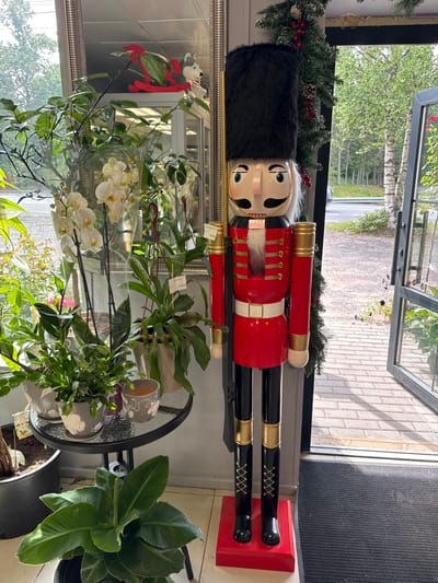 The image depicts a nutcracker figure standing at the entrance of a store, possibly a flower shop, in the city of Serovo, Russia. The nutcracker is dressed in a red military uniform with gold accents and a tall black fur hat. To the left of the nutcracker, several potted plants are displayed, including white orchids and a banana plant. A glass-topped table with more potted plants is also visible. In the reflection of a large mirror behind the plants, a red rocking horse toy and a stuffed husky dog can be seen. The store's interior has a tiled floor and a door that opens to an outdoor area with trees and a paved walkway. The overall setting suggests a retail environment with a festive holiday display.