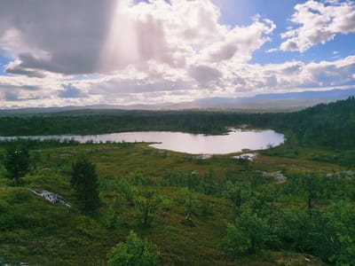 An aerial wide shot captures a serene landscape in Nyby, Norway, characterized by a tranquil lake nestled amidst rolling hills and dense forests. The sky is a canvas of dramatic clouds, with shafts of sunlight piercing through, illuminating the scene with an ethereal glow. The terrain is a rich tapestry of greens, from the lush vegetation surrounding the lake to the dark, verdant expanse of the forest that stretches towards the distant mountains. The water body, with its calm surface reflecting the sky, adds a sense of peace and stillness to the overall panorama. The image depicts a natural, untouched environment, devoid of any human presence.