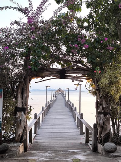 The image depicts a long wooden pier stretching out over calm, serene water. The pier is framed by rustic, weathered wooden posts and a canopy of lush green foliage adorned with vibrant pink flowers. These floral elements create a natural archway, inviting the viewer to enter the scene.
Along the pier, there are railings and lampposts spaced at intervals, suggesting a pathway for pedestrians. In the distance, at the end of the pier, a covered structure with a distinctive roofline is visible, hinting at a destination or gathering place. The water is calm and reflects the soft light of the sky, creating a peaceful atmosphere. Islands or landmasses are faintly visible on the horizon.
The lighting suggests it is either early morning or late evening, with a soft, diffused light casting a gentle glow over the scene. The weather appears calm and pleasant.
While there are no specific people clearly visible as the main subjects, the presence of the pier and the distant structure implies human activity or potential for it. The overall mood is tranquil and inviting, with a touch of natural beauty enhanced by the tropical flora.
No visible text is present in the main image. The location context provided is Labuan Bajo, Indonesia.