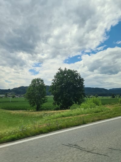 The image depicts a rural landscape with a cloudy sky. In the foreground, a paved road with a white line runs diagonally across the frame. Beyond the road, a green grassy verge with scattered wildflowers is visible. Further into the scene, there is a large field of green crops, likely corn, bordered by trees. Two prominent trees stand in the middle ground, one smaller and to the left, and a larger, more mature tree to the right. In the background, rolling hills covered in dark green trees extend towards the horizon. A few buildings are visible on the left side of the frame, suggesting a settlement. The sky is filled with a mix of heavy gray clouds and patches of bright blue sky, indicating dynamic weather conditions. The overall impression is one of a serene, pastoral setting.