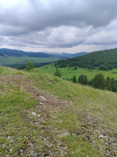 The image shows a lush green valley with rolling hills under a cloudy sky. In the foreground, there is a slope covered in dry grass and small stones, indicating a pathway or an elevated vantage point. The middle ground features a wide expanse of verdant fields dotted with scattered trees and a small cluster of buildings, possibly a village, nestled in the valley. The background is dominated by densely forested hills that recede into the distance, with a hazy mountain range visible on the horizon. The overall scene conveys a sense of natural beauty and rural tranquility in the region of Туим, Russia.