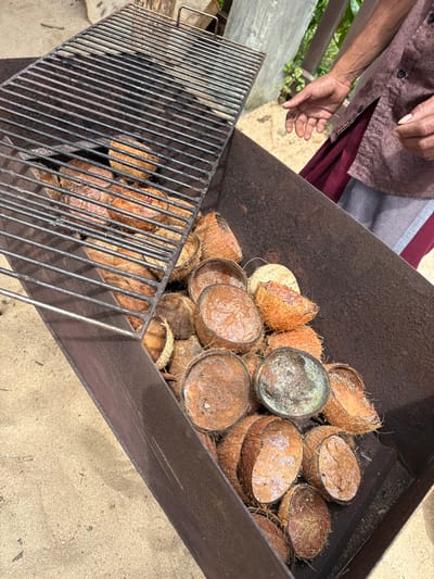 A metal container holds numerous coconut shells. The shells vary in color from tan to brown. A metal grate with parallel bars sits above part of the container, with some coconut shells underneath. A person’s hand and arm are visible in the upper left corner of the image, wearing a buttoned shirt and fabric with red and grey stripes. The container rests on a tan surface.
