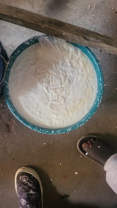 The scene, located in Fagge D1, Nigeria, presents an overhead view of a large, teal plastic basin resting on a rough, grey-brown floor. The basin contains a substantial volume of white, viscous liquid, likely milk or a fermented dairy product, interspersed with irregular white solids and partially covered by clear plastic sheeting. The floor surrounding the basin shows numerous small white droplets and sparse debris. A dark, weathered wooden beam extends across the upper portion of the frame. In the lower foreground, two human feet are visible: the left wears a dark slip-on shoe with a white patterned logo, and the right wears a dark open-toed sandal, revealing digits, adjacent to a white garment extending from the ankle.