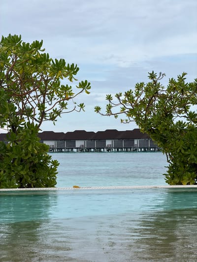 The image captures a serene view in Guraidhoo, Maldives. The foreground features lush green tropical trees framing the scene. In the center, a row of overwater bungalows extends out into the turquoise water, suggesting a resort or accommodation facility. A white rope-like element is positioned vertically, possibly delineating a boundary or walkway. The sky is overcast, contributing to a soft, diffused light across the scene.