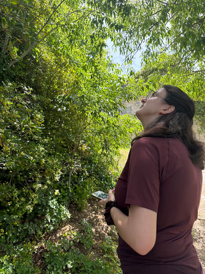 An outdoor, eye-level shot captures a woman observing dense green foliage under bright daylight. The image is oriented with the woman on the right side, leaning forward and looking down into the leafy vegetation.
The primary subject is a woman with dark hair, pulled back, and wearing glasses. She is dressed in a plain, long-sleeved maroon or dark red top. Her posture suggests focused attention on something below her eye level within the bushes. She holds a smartphone in her right hand, which is partially visible at the bottom right of the frame, near her waist. A dark, scrunchie-like accessory is on her right wrist.
The setting is characterized by abundant, vibrant green vegetation, typical of a Mediterranean landscape. Various species of bushes and trees with small, glossy leaves fill the foreground and background. Sunlight filters through the leaves, creating bright highlights and some dappled shadows. The ground directly beneath the bushes where the woman is looking appears to be a mix of earth and rocks, also covered in some low-lying green plants. The sky, a clear light blue, is visible through gaps in the tree canopy in the upper left.
The activity taking place is the woman's focused observation of the plant life, possibly engaging in nature photography or identification, given the presence of the smartphone in her hand, which appears to be actively in use. No discernible text is visible on the phone screen or elsewhere in the image. The scene suggests a calm, investigative moment during what appears to be a sunny day in Olèrdola, Spain.