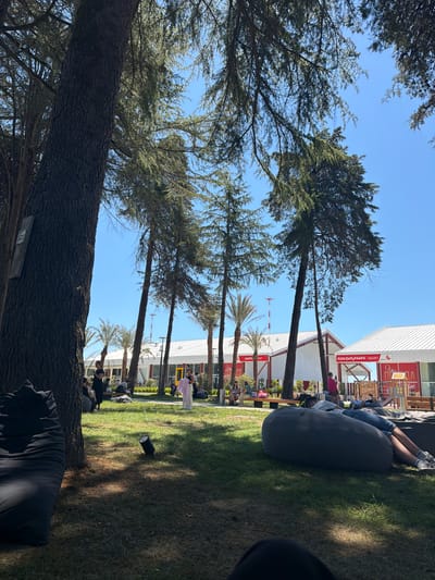 The image depicts an outdoor scene at the airport in Babyshira, Abkhazia, on a clear, sunny day. In the foreground, a large, dark beanbag chair is positioned on a grassy area, casting a shadow. To the left, a thick tree trunk with rough bark is prominent. Further back, several people are seated or reclining on beanbag chairs on the lawn. A few other individuals are visible in the midground, some standing and conversing, while others are seated on a bench. Behind the people, there are palm trees and tall, slender trees. In the background, low-rise white buildings with red accents and visible signage in an unfamiliar script stand under a bright blue sky. A playground structure is also present near the buildings. The overall ambiance is relaxed and leisurely, suggesting a waiting area or a recreational space at the airport.