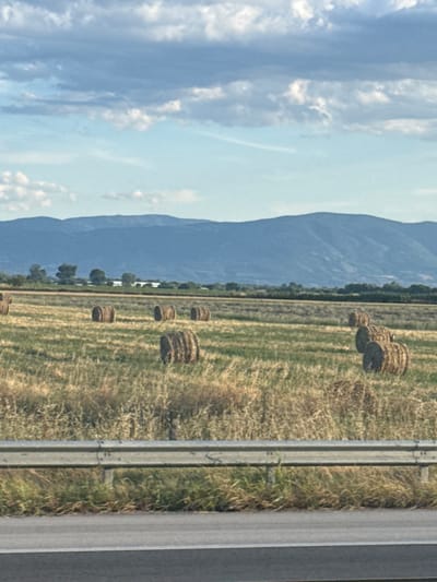 An outdoor shot captures a landscape on a cloudy day, with a focus on a field of hay bales. The foreground features a highway guardrail and a section of asphalt road. Beyond the guardrail, a golden-hued field is dotted with numerous cylindrical hay bales, varying in size and placement. In the middle ground, trees and what appear to be bodies of water are visible, suggesting a rural setting. The background is dominated by a range of blue mountains under a sky filled with white and gray clouds. The image was taken in Manole, Bulgaria.