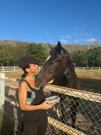 A woman in a black tank top and baseball cap is petting a dark brown horse with a white stripe on its face. The horse is standing behind a chain-link fence. The woman is holding a clear plastic container. There are green trees and a blue sky in the background. The image appears to be taken outdoors.