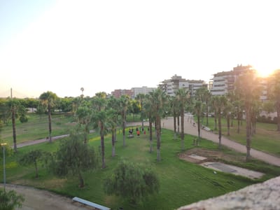 The image shows a park with palm trees and residential buildings in the background. In the center of the park, a group of people are gathered on a grassy area, some standing and some sitting on benches. There are walking paths throughout the park, and some exercise equipment is visible. The sun is setting, casting a warm glow over the scene and creating lens flare from the right side of the image. The buildings in the background appear to be modern apartment complexes. The location is the Parque de Las Palmeras in Badajoz, Spain, identifiable by the unique palm tree landscaping and the style of the buildings.