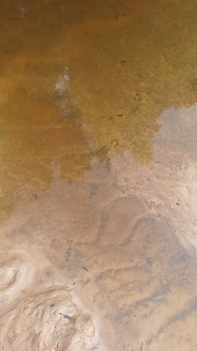 The image depicts a shallow body of murky, brown water with a sandy bottom. The water is calm in most areas, but there are visible ripple marks on the surface, suggesting recent rainfall or disturbance. Reflections of trees and foliage are visible on the water's surface, indicating the presence of vegetation on the bank. The sandy bottom shows patterns of sediment deposition and some debris, such as twigs and leaves. Several small, dark shapes that could be pebbles or debris are scattered across the bottom. The overall scene suggests a natural aquatic environment, possibly a shallow riverbed or pond in an outdoor setting. Based on the provided context, this scene is located in Vālodzes, Latvia.