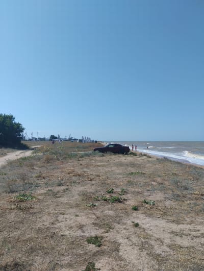 The image captures a wide view of a coastal area on a clear, sunny day, likely in Dolzhanskaya, Russia. In the foreground, a dry, sandy embankment is covered with sparse, dry vegetation. A dirt road winds along the left side of the embankment.
Further into the scene, near the edge of the beach, a dark red car is parked. Several people are visible on the beach and in the shallow water. One individual is standing by the car, and two others are walking near the water's edge. A few more figures are present in the sea.
In the mid-ground, a line of tall, white flags with dark lettering, possibly advertising banners, are planted along the coastline, suggesting a recreational area or event. Behind the flags, there are some buildings and utility poles, indicating a settlement or infrastructure. The sea is choppy, with waves breaking on the shore, and the sky is a vast expanse of clear blue. To the far left, a dense cluster of green trees stands out against the drier landscape. The overall impression is a lively summer day at a seaside location.