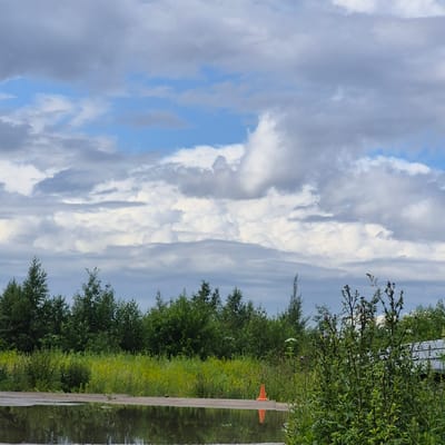 A puddle of water reflects a cloudy sky above a lush green field and a line of trees. An orange traffic cone sits on the edge of the puddle, its reflection visible in the water. The scene appears to be in a rural or semi-rural area, possibly on the outskirts of Yanino-2, Russia, given the context. The sky is filled with a mix of gray and white clouds, with patches of blue sky visible. The vegetation is thick and varied, with tall grasses and trees forming a natural barrier. The overall impression is one of a quiet, overcast day.