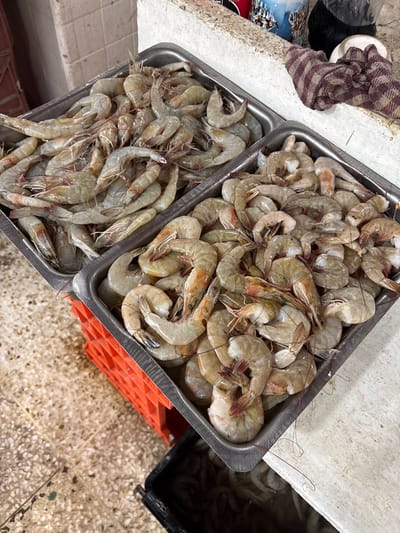 Two silver trays overflow with raw shrimp, varying slightly in size and color. A black container partially filled with shrimp sits nearby. An orange crate supports one tray. The background features a patterned floor, a white countertop, and a partially visible cloth. The composition is shot from a high angle, emphasizing the abundance of seafood.