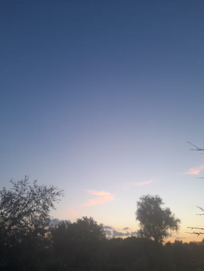 The image captures a serene sunset scene in Kliushnykivka, Ukraine. The sky transitions from a deep, clear blue on the left to a soft, luminous gradient of pale yellow, orange, and pink hues on the right, indicating the late evening or early morning. Wispy clouds, tinged with the warm colors of the sunset, are scattered across the sky.
The foreground is dominated by the silhouettes of trees and branches against the illuminated sky. On the right side of the image, a line of trees forms a dark, undulating horizon. One prominent tree, its foliage dense and rounded, stands out against the lighter sky. Further down, another tree with more sparse, intricate branches is visible. The tops of some bare branches extend into the upper portion of the frame, adding a delicate detail to the scene.
The overall mood is tranquil and peaceful, evoked by the soft lighting and the natural beauty of the sunset. The scene suggests a quiet moment in a rural or natural setting, possibly a field or a forest edge. There are no visible people or objects other than the natural elements, and no text is present in the image. The gentle colors and silhouettes create a sense of calm and natural beauty.