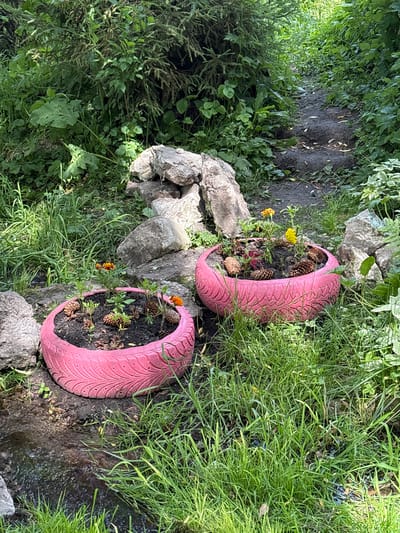 Two pink painted tires are used as planters in a garden. The planter on the left contains several small plants and pinecones. The planter on the right has two small flowers, one yellow and one orange, along with other small plants and pinecones. The planters are situated on dark soil surrounded by green grass and large grey rocks. A dirt path is visible in the background. The scene is illuminated by natural sunlight, casting shadows. The location is Новоподклетное, Russia.