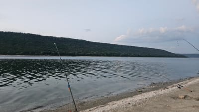The image depicts a tranquil lakeside scene in Kulishivka, Ukraine, under an overcast sky. The foreground is a sandy shore littered with seashells, leading to the calm, rippling surface of a wide body of water. Two fishing rods are set up on the shore. The rod on the left is closer to the viewer, with its green tip visible and a fishing line extending into the water. The second fishing rod, further to the right, is shorter and has a reel attached. In the background, a dense, dark green forest covers a long, rolling hill that meets the horizon. The water reflects the muted colors of the sky and the forest, creating a serene and slightly somber atmosphere. There are no people visible in the image.
