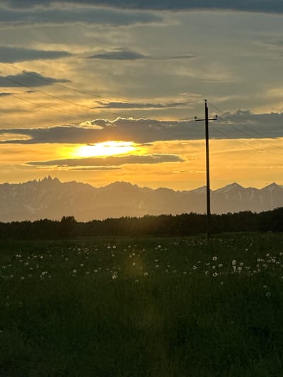 This is a vertical, full-frame shot of a natural landscape at sunset. The sky is filled with dramatic, layered clouds in shades of grey, white, and yellow, with the sun peeking through in the upper left quadrant, casting a golden glow. A single, dark utility pole stands in the mid-right of the frame, with two thin wires stretching horizontally across the upper half of the image. In the middle ground, a silhouetted dark green tree line forms a stark contrast against the illuminated sky and distant, hazy mountains. These mountains, also appearing in silhouette, exhibit jagged peaks. The foreground is a field of dark green grass dotted with numerous white dandelion seed heads, some of which are blurred with motion. There are no people or animals visible in the scene. The overall impression is one of a serene, rural sunset. This scene is not in the city of Кеткино, Russia.