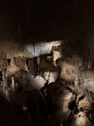 The image depicts the interior of the Cave of Petralona, located in Petralona, Greece. The cave's interior is characterized by rock formations, stalactites and stalagmites. The scene is dimly lit, with artificial light highlighting specific areas of the cave structure. The overall color is brownish and grey.