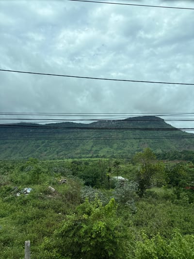 A wide shot captures a lush, verdant landscape with a prominent, flat-topped mountain dominating the background. Power lines crisscross the frame, obscuring parts of the sky and the mountain. The sky is overcast with soft, grey clouds. The mountain's slopes are covered in dense vegetation, with patches of lighter green suggesting terraced fields or clearings. In the foreground, an area of overgrown greenery, including bushes and trees, is visible. Scattered within this foreground vegetation are several pieces of debris, including plastic bags, white and blue, and what appears to be a light-colored concrete object, suggesting the presence of some waste or refuse. A small, light-colored structure, possibly a shed or a small house, is partially visible amidst the trees on the lower slopes of the mountain. The image appears to be taken from a slightly elevated position.