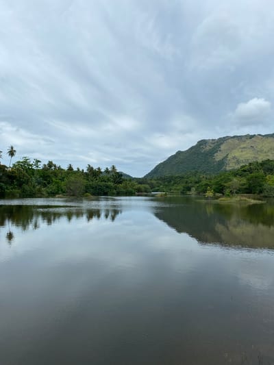 The image depicts a serene landscape with a body of water in the foreground reflecting the surrounding environment under a cloudy sky. The water is calm, showing clear reflections of lush green trees and a mountain in the background. The vegetation is dense, with palm trees and other tropical foliage lining the shore. The mountain features a mix of green trees on its lower slopes and lighter, grassy terrain on its upper parts. The sky is overcast, with diffused light creating a soft, muted atmosphere. The scene is tranquil and natural, suggestive of a rural or undeveloped area. The location is specified as Aneuk Paya, Indonesia. There are no people or animals visible in the image, and no specific actions are taking place. The focus is entirely on the natural landscape.