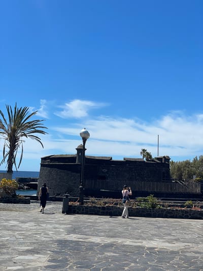 The image, taken in Santa Cruz de Tenerife, Spain, depicts a sunny outdoor scene along what appears to be a promenade or a fortified area. The sky is a vibrant blue with scattered wispy white clouds, indicating clear weather during the day, likely morning or early afternoon.
A prominent dark stone wall or building, featuring crenellated sections and dark, rough-hewn masonry, runs along the right side of the frame. Steps lead up along the upper portion of this structure, and small plants and shrubs are arranged along its base and ledges. The ground is paved with large, irregularly shaped dark grey stones.
Two people are visible on the paved area. One individual, positioned towards the center-right, wears a light-colored top, light trousers, and a dark hat or cap. They appear to be standing, possibly observing the scenery or taking a photograph. The second person, closer to the foreground on the right, is dressed in dark clothing and is seen from behind, walking away from the camera.
A tall palm tree with broad green fronds occupies the lower-left corner of the image. Towards the center, a dark lamppost with a spherical light fixture stands out. In the distance, beyond the stone structure, a calm body of blue water, presumably the ocean, can be seen. The overall impression is one of leisure and sightseeing at a historic, coastal location. No legible text is visible.