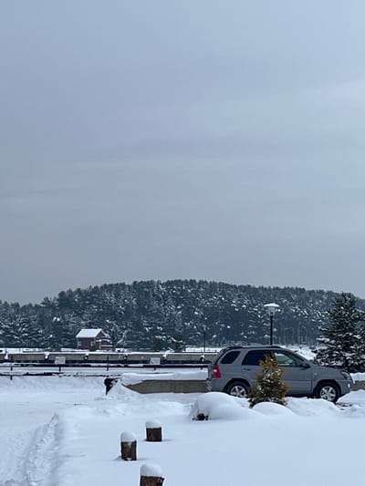 The scene depicts a snow-covered environment in Yasenevo, Russia, under an overcast sky. In the foreground, a uniform layer of snow covers the ground, featuring three snow-capped wooden posts or stumps in the lower-center and a cleared path or tracks on the far left. The midground features a light gray sport utility vehicle (SUV) parked facing right, partially obscured by snow and a small evergreen shrub. To its left, a dark-clad individual is observed kneeling or bent over in the snow. Behind the SUV, a white-domed streetlamp stands. Further back, a concrete barrier or embankment is visible, followed by a horizontal line of dark, rectangular objects, possibly train cars or industrial containers, all topped with snow. A small, two-story red building with a white roof is situated beyond these objects in the mid-left. The background is dominated by a dense, snow-dusted coniferous forest forming a distinct tree line, meeting a light gray, featureless sky at the horizon.