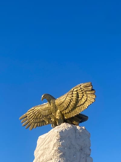 A bronze-colored eagle statue with outstretched wings is depicted perched atop a jagged, light-colored stone pedestal. The eagle's head faces left with its beak slightly open, and a small icicle or drip is visible beneath it. Patches of white material, likely snow or ice, are present on the statue's back and wings. The pedestal is rough-textured and appears to be made of concrete or a similar light-colored stone. The sky above and behind the statue is a clear, solid blue, indicating a sunny day. No other objects, people, or structures are visible. The scene is located in Varvarovka, Russia.