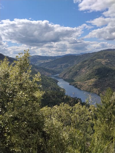The image presents a landscape view in Carrazeda de Ansiães, Portugal. In the midground, a river winds through a valley surrounded by tree-covered hills. The foreground is filled with dense greenery, including shrubs and tall grasses, partially obscuring the view. The sky is filled with a mix of white and gray clouds, with patches of blue sky visible. The overall scene suggests a natural, rural environment with a focus on the river and surrounding hills.