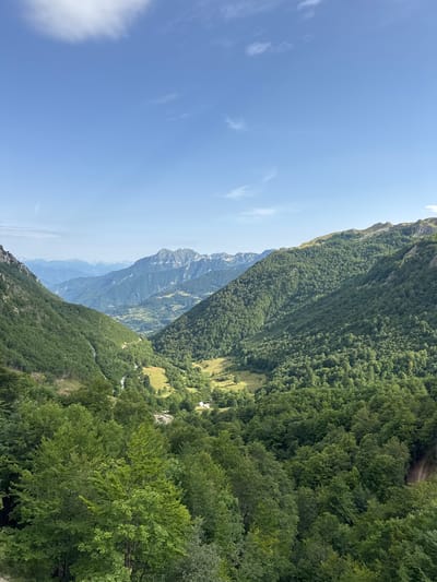The image depicts a vast, verdant mountain valley under a clear blue sky with scattered wispy clouds. The foreground is dominated by dense green trees, with the foliage creating a thick canopy. As the eye moves deeper into the scene, the valley opens up, revealing rolling hills covered in lush forests. A winding road is visible, snaking its way through the valley floor, which is dotted with patches of yellowing fields. In the distance, majestic, rugged mountains rise, layered in varying shades of blue and grey, indicating their immense scale and distance. The overall impression is one of natural, unspoiled wilderness, characteristic of a mountainous region. The scene is likely located in the vicinity of Љевишта, Montenegro, given the typical landscape of the region.