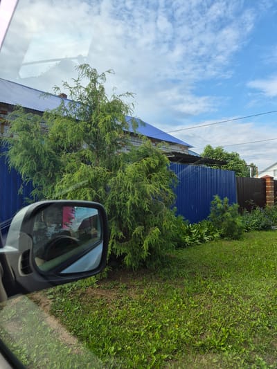 The image, taken in Италмас, Russia, depicts a scene from inside a vehicle, looking out through the side window and a side mirror. The perspective is rotated 90 degrees counter-clockwise. The primary subjects are the natural elements of a green, grassy area with various types of foliage and trees, and the sky above.

The sky is a bright blue with scattered white, wispy clouds, suggesting daytime and fair weather. In the foreground, partially visible, is the interior of the car, including the dashboard and the side mirror. The side mirror reflects a pink object, possibly a bag or piece of clothing, and parts of the car's interior.

Outside the vehicle, the landscape is dominated by lush green grass and dense green bushes and trees, including what appears to be a conifer. Behind the greenery, a blue corrugated metal fence is visible, along with parts of buildings with metal roofs, suggesting a residential or possibly industrial area. Power lines stretch across the sky in the upper left portion of the image.

The image seems to capture a moment of travel or observation from a stationary vehicle. The overall impression is one of a pleasant, sunny day in a somewhat rural or suburban setting. There is no discernible text in the image.