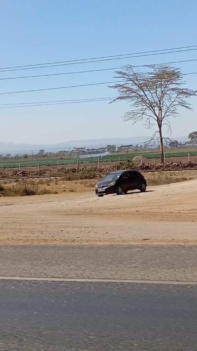 A black car sits on a sandy, dirt area next to a paved road. The background features a fenced field with rows of plants and a lone, bare tree. A hazy mountain range is visible in the distance under a clear blue sky. Power lines stretch across the upper part of the frame. The scene depicts a rural or semi-rural landscape.